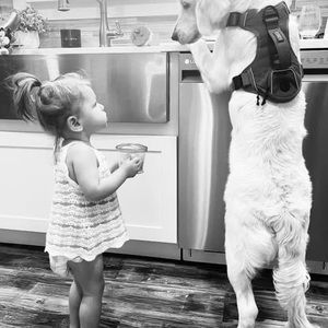 Meet your Posher, Thomas